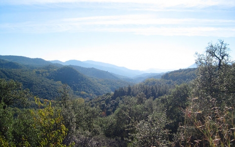 Late afternoon in Montseny